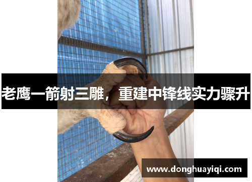 老鹰一箭射三雕，重建中锋线实力骤升